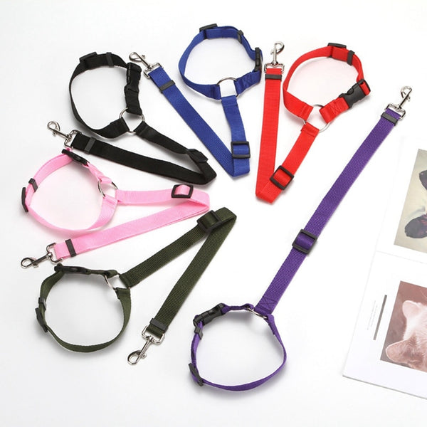 Two-in-one Pet Car Seatbelt and Leash