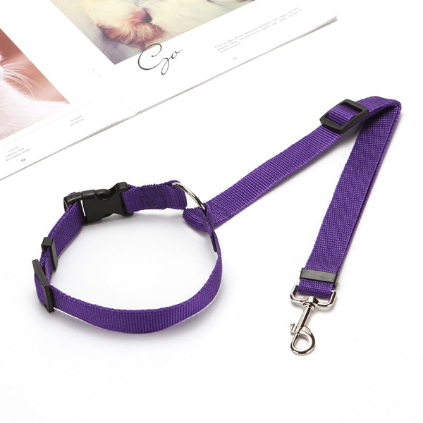 Two-in-one Pet Car Seatbelt and Leash