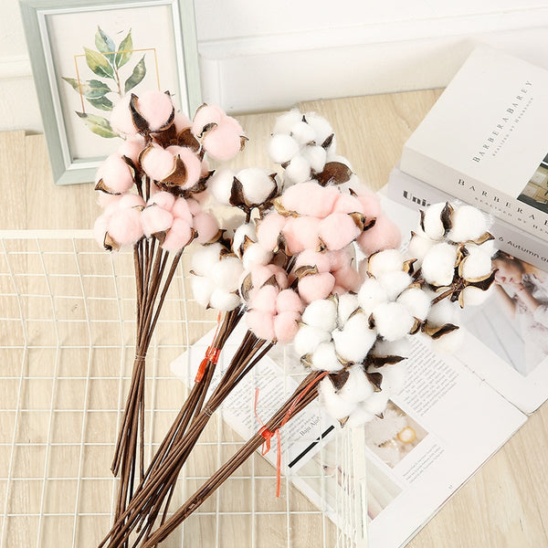 10 Pcs Dried Cotton Bunch